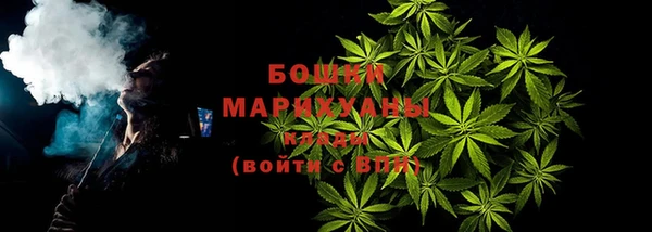 амф Горняк