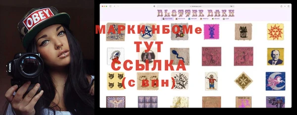 амф Горняк