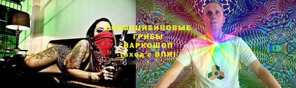 амф Горняк