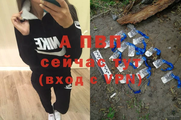 амф Горняк