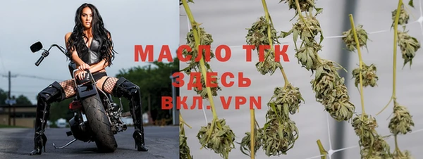 амф Горняк