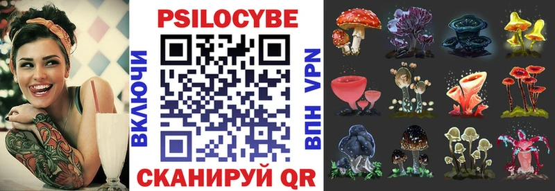 хочу   Петухово  Псилоцибиновые грибы Psilocybe 